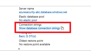 In the summary section beneath Connection strings the Show database connection strings link is highlighted.