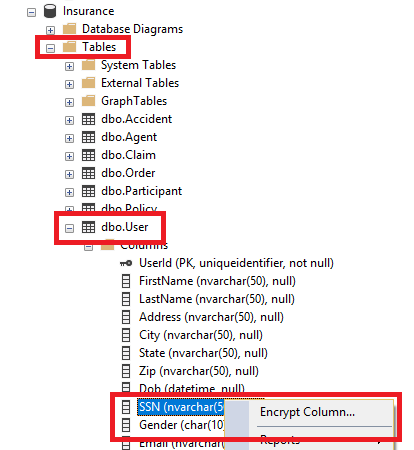 Tables and dbo.User are highlighted in the Insurance database tree. Below that, the SSN column is selected and highlighted, and Encrypt Column is highlighted.