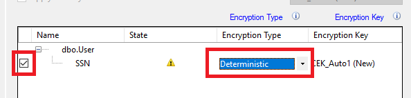The check box next to the SSN column is selected and highlighted, and Deterministic is highlighted under Encryption Type.