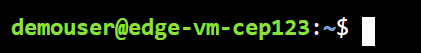 The Bash prompt displays demouser@edge-vm-{SUFFIX}.